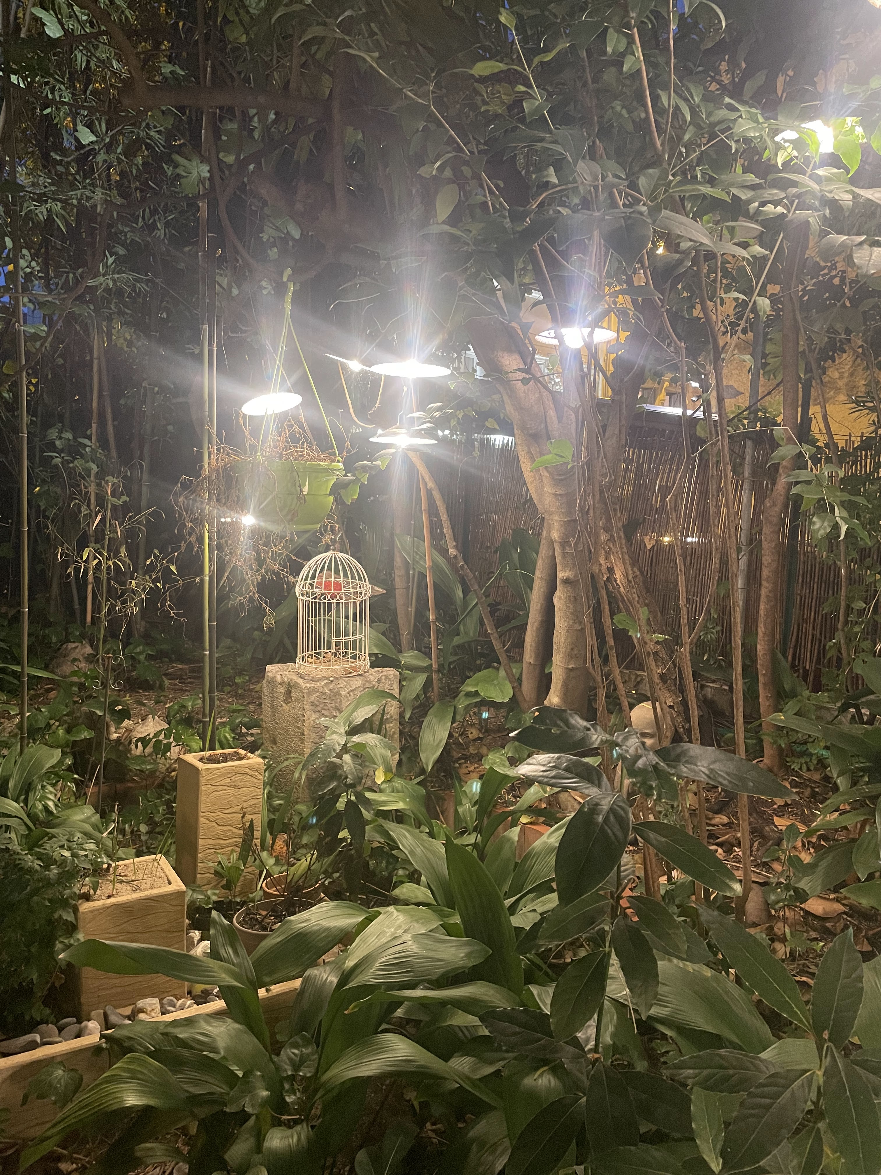 Photo n° 2 de l'avis de Nana. fait le 13/10/2023 à 21:55