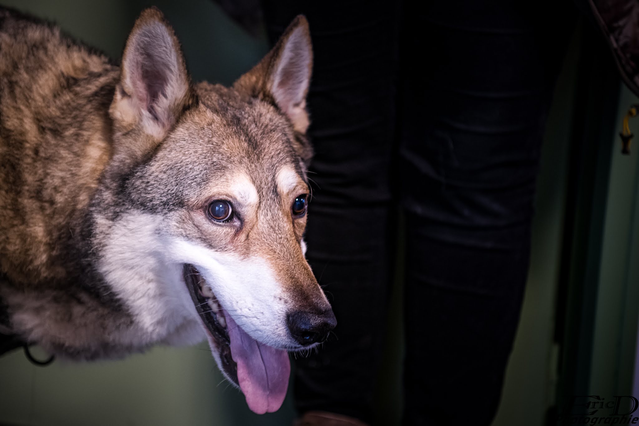 Photo n° 17 de l'avis de Ricou.H fait le 28/10/2020 à 16:42