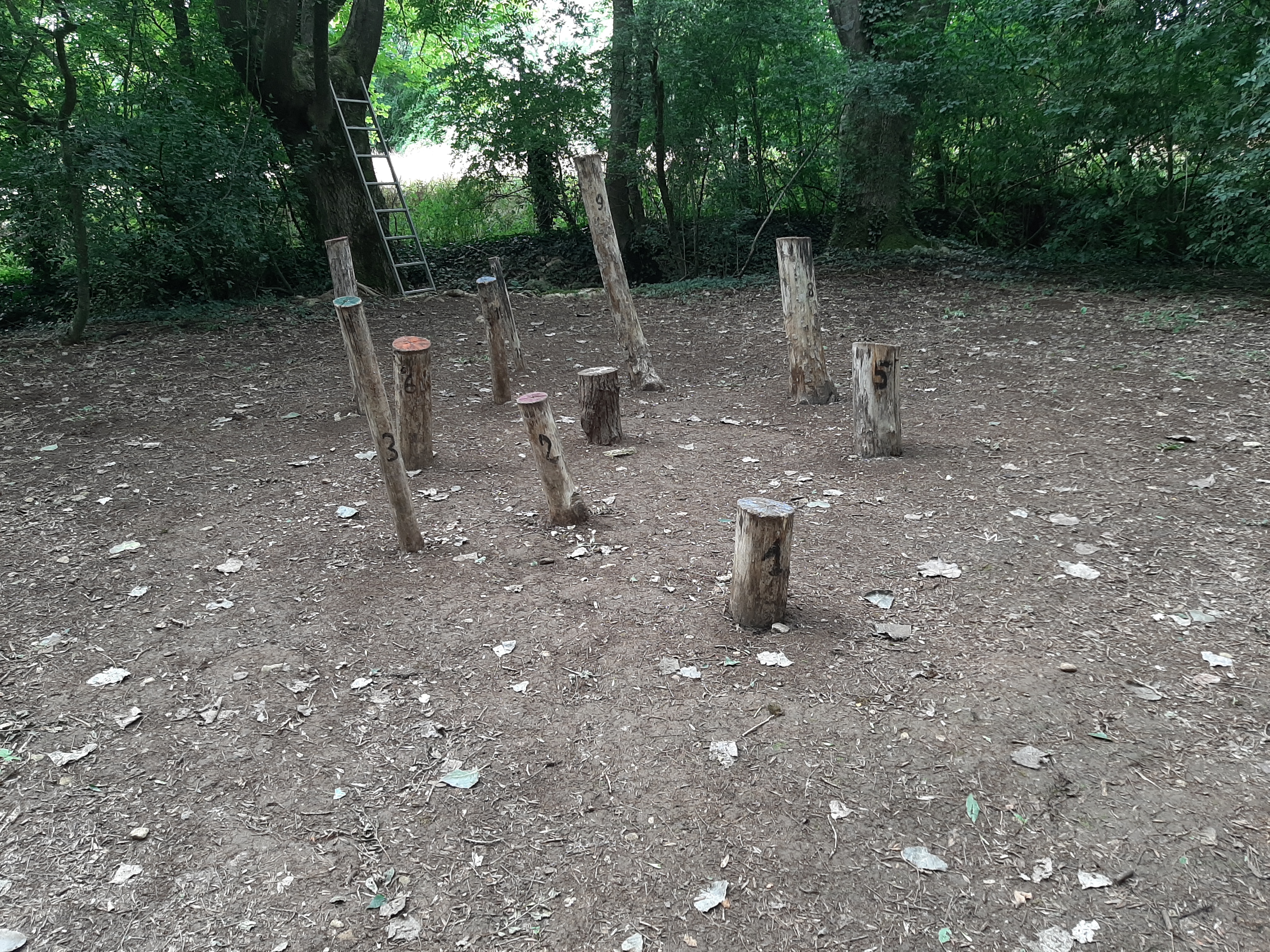 Photo n° 9 de l'avis de Sylvain.e fait le 28/07/2021 à 14:57