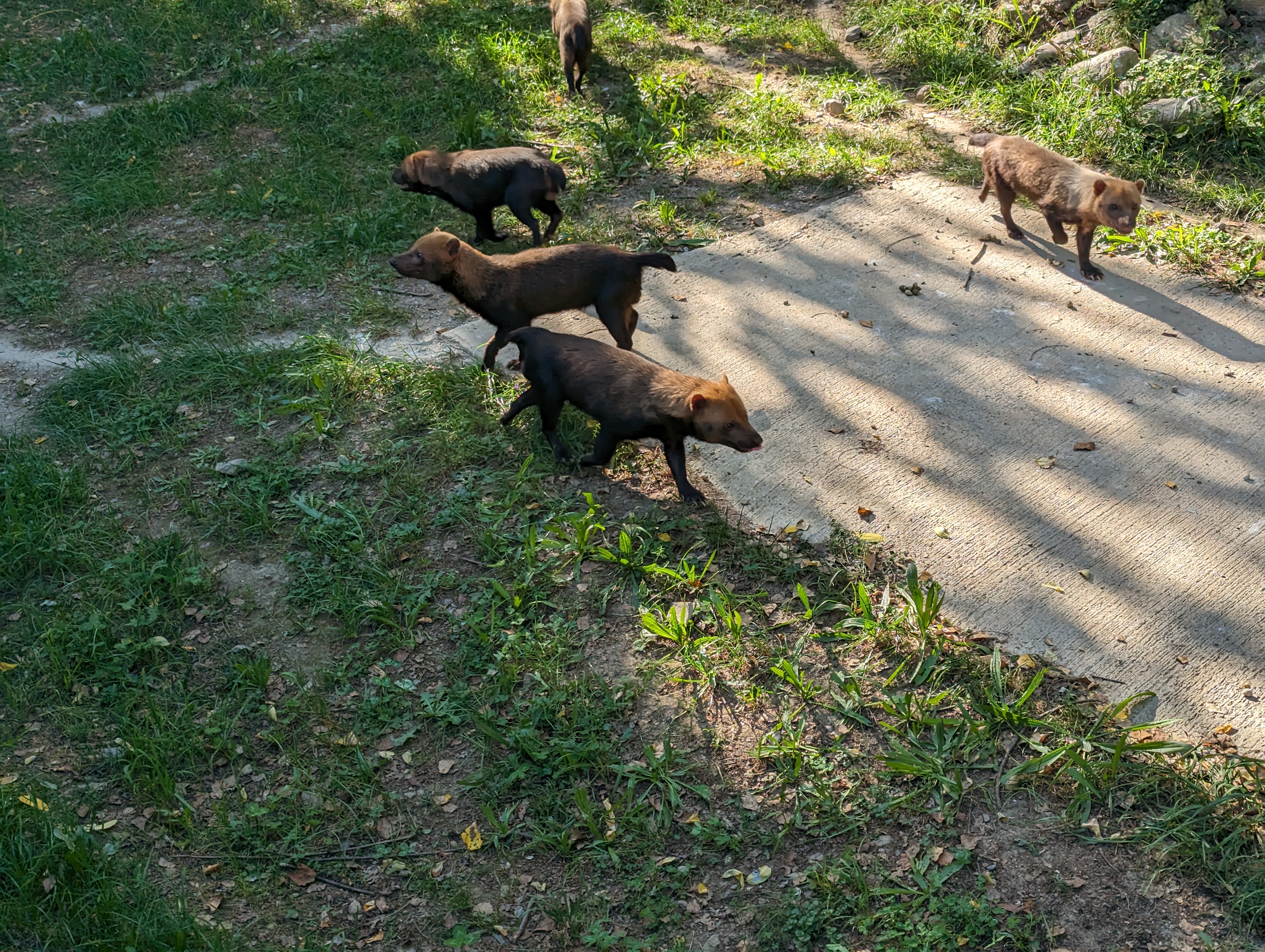 Photo n° 26 de l'avis de Thibaud.l fait le 10/10/2023 à 07:10