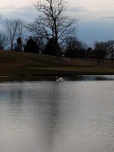 Golf Club «University Club of Kentucky», reviews and photos, 4850 Leestown Road, Lexington, KY 40511, USA