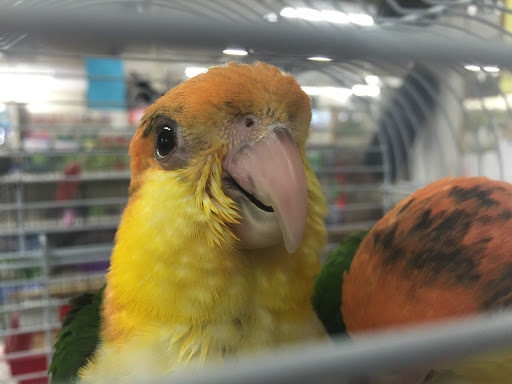 Pet Store «Teske Pet & Garden», reviews and photos, 2423 16th St, Moline, IL 61265, USA