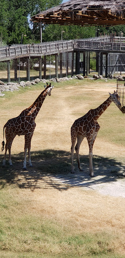Zoo «Frank Buck Zoo», reviews and photos, 1000 W California St, Gainesville, TX 76240, USA