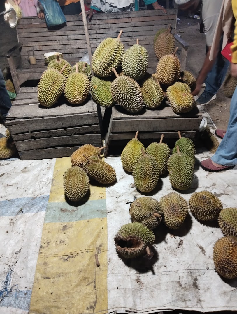 Jual Durian Rangkaya Photo