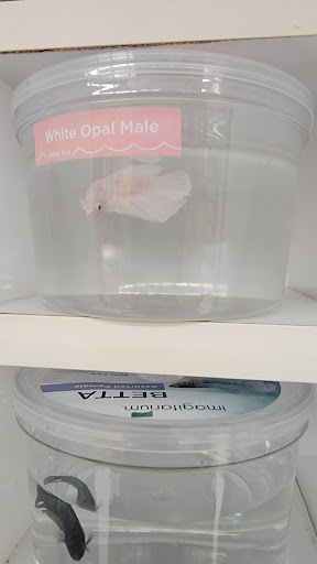 Pet Supply Store «Petco Animal Supplies», reviews and photos, 12960 Middlebrook Road #520a, Germantown, MD 20874, USA