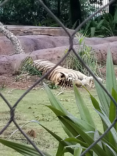 Arena «Pete Maravich Assembly Center», reviews and photos, N Stadium Rd, Baton Rouge, LA 70802, USA