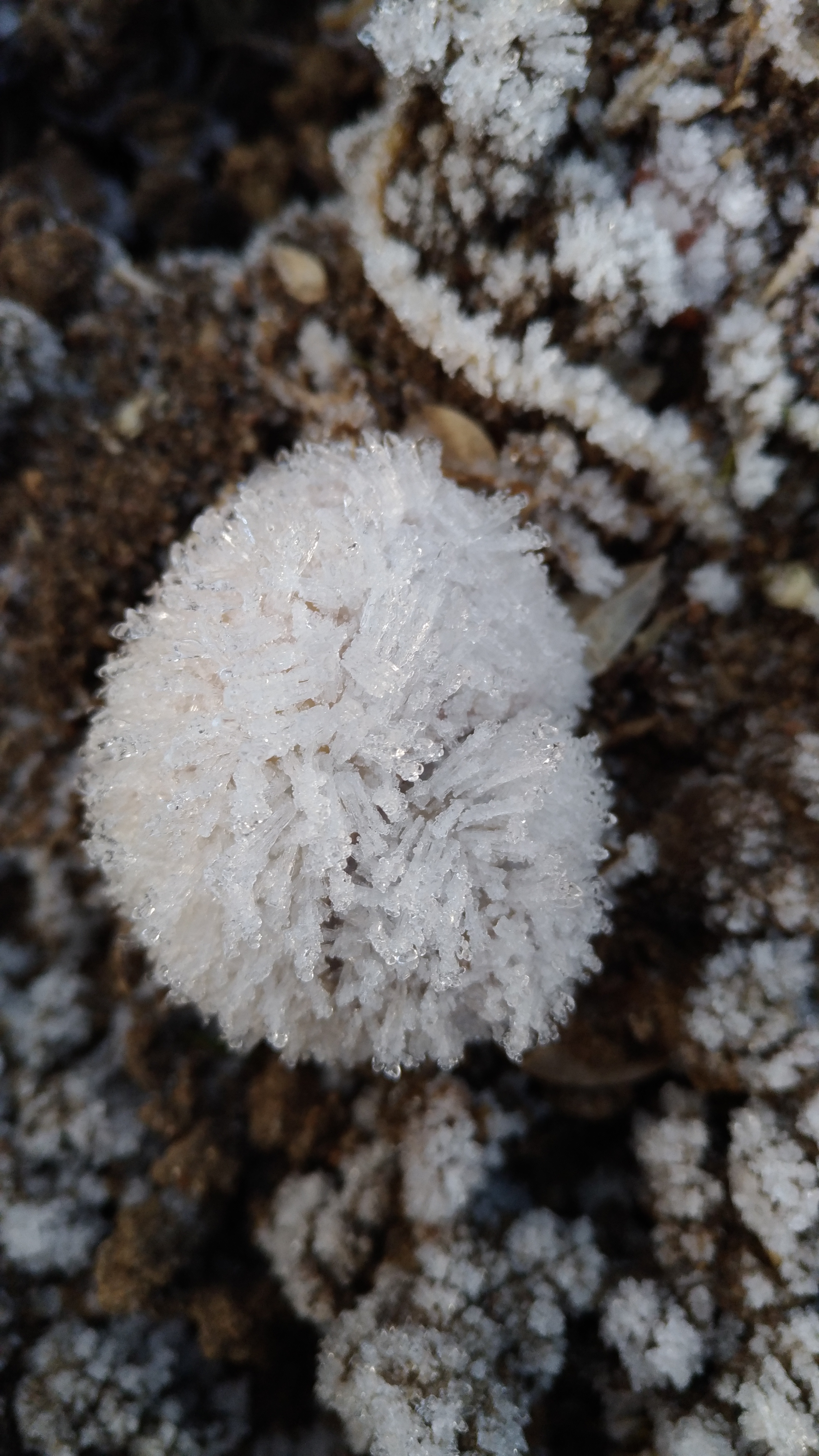 Photo n° 23 de l'avis de Chrystelle.e fait le 21/04/2019 à 16:16