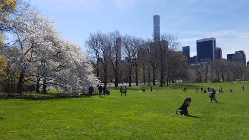 Modern Art Museum «The Museum of Modern Art», reviews and photos, 11 W 53rd St, New York, NY 10019, USA