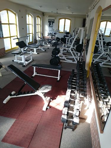 Arnold Gym Fitness Klub
