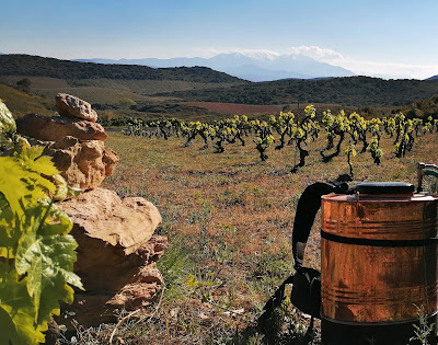 Domaine de l'Horizon à Montner
