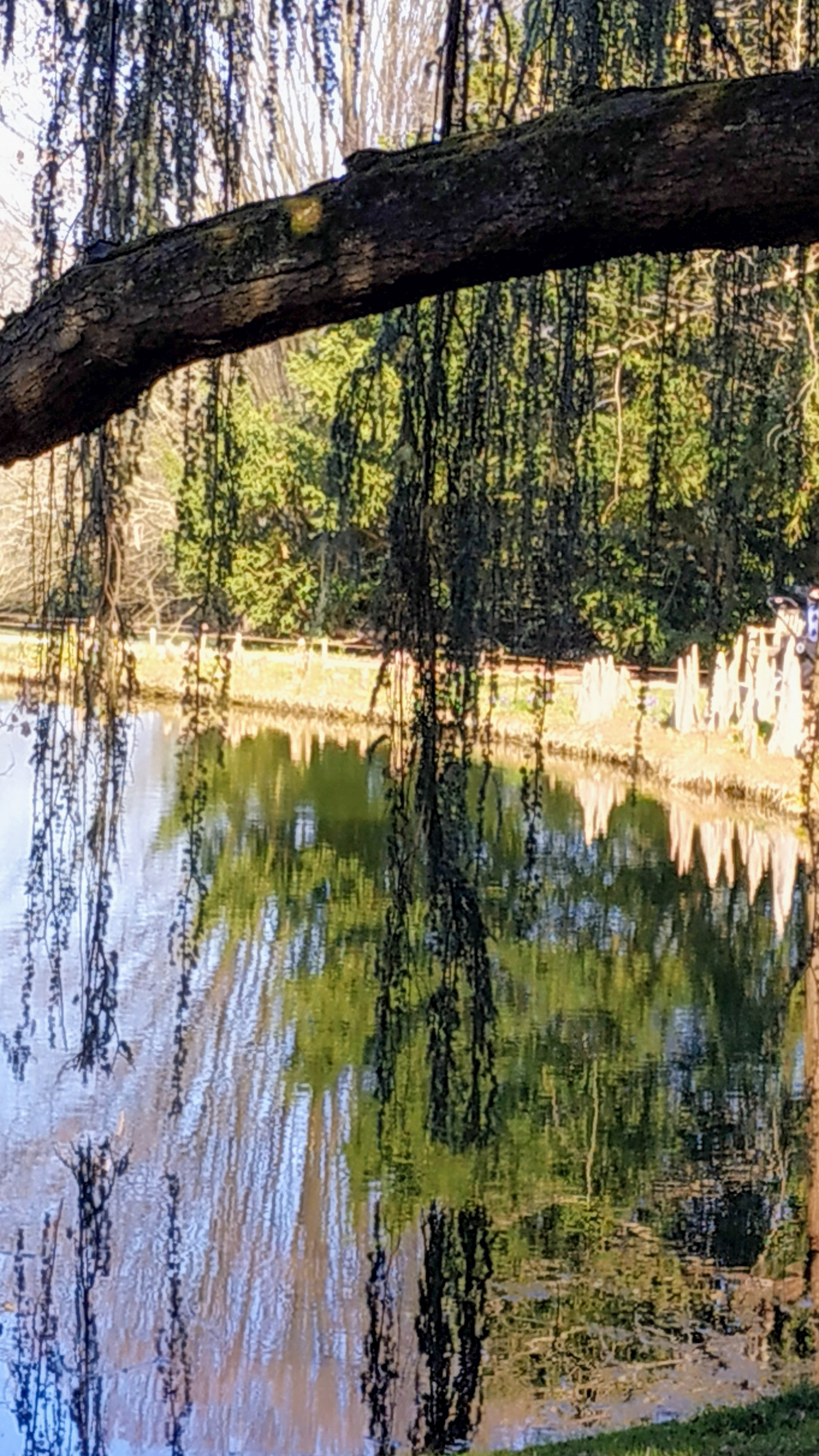 Photo n° 14 de l'avis de The.a fait le 08/03/2022 à 16:46