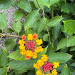 Photo n°18 de l'avis de carlo.o fait le 07/09/2022 à 14:22 sur le  Hotel Martino à Maratea