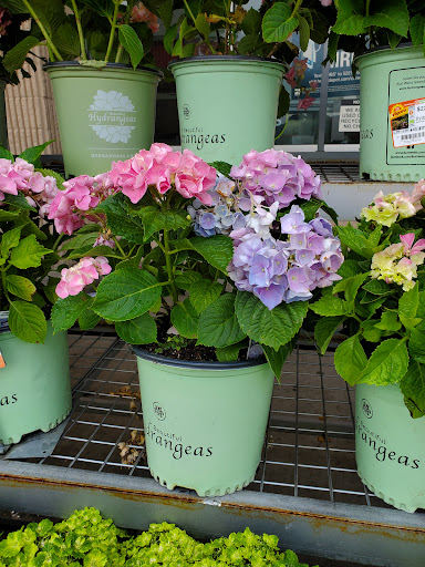 Home Improvement Store «The Home Depot», reviews and photos, 1300-1320 Corporate Dr, Westbury, NY 11590, USA