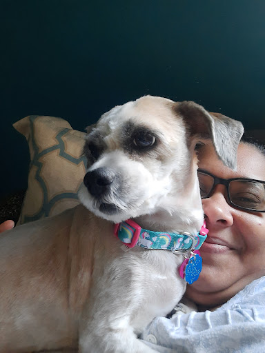 Pet Supply Store «Petco Animal Supplies», reviews and photos, 13 Welles St, Glastonbury, CT 06033, USA