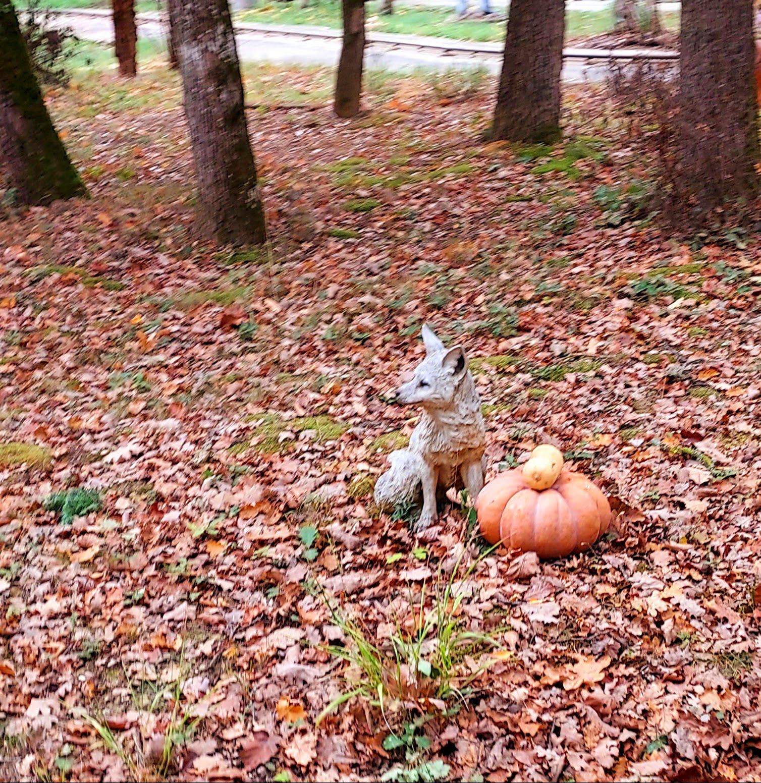 Photo n° 18 de l'avis de Patricia.e fait le 27/10/2022 à 22:10