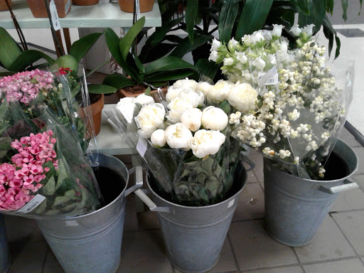 Supermarket «King Kullen», reviews and photos, 2044 Montauk Hwy, Bridgehampton, NY 11932, USA