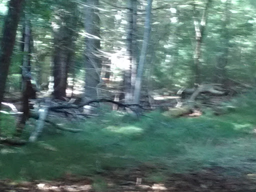 Golf Club «Pocasset Golf Club», reviews and photos, Club House Dr, Pocasset, MA 02559, USA