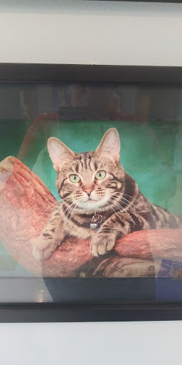 Dr. Sara Granberg image