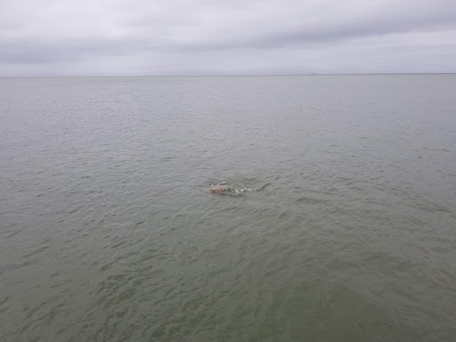 General Store «Cherrystone Resort Store», reviews and photos, 1357 Townfield Dr, Cape Charles, VA 23310, USA