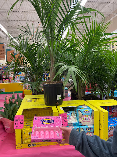 Grocery Store «Harps Food Store», reviews and photos, 1120 E German Ln, Conway, AR 72032, USA