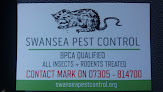 Cockroach pest control Swansea