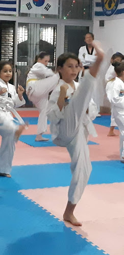 Academia de Taekwondo Solymar - Gimnasio