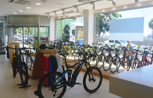 Free Motion Bikecenter - Las Palmas