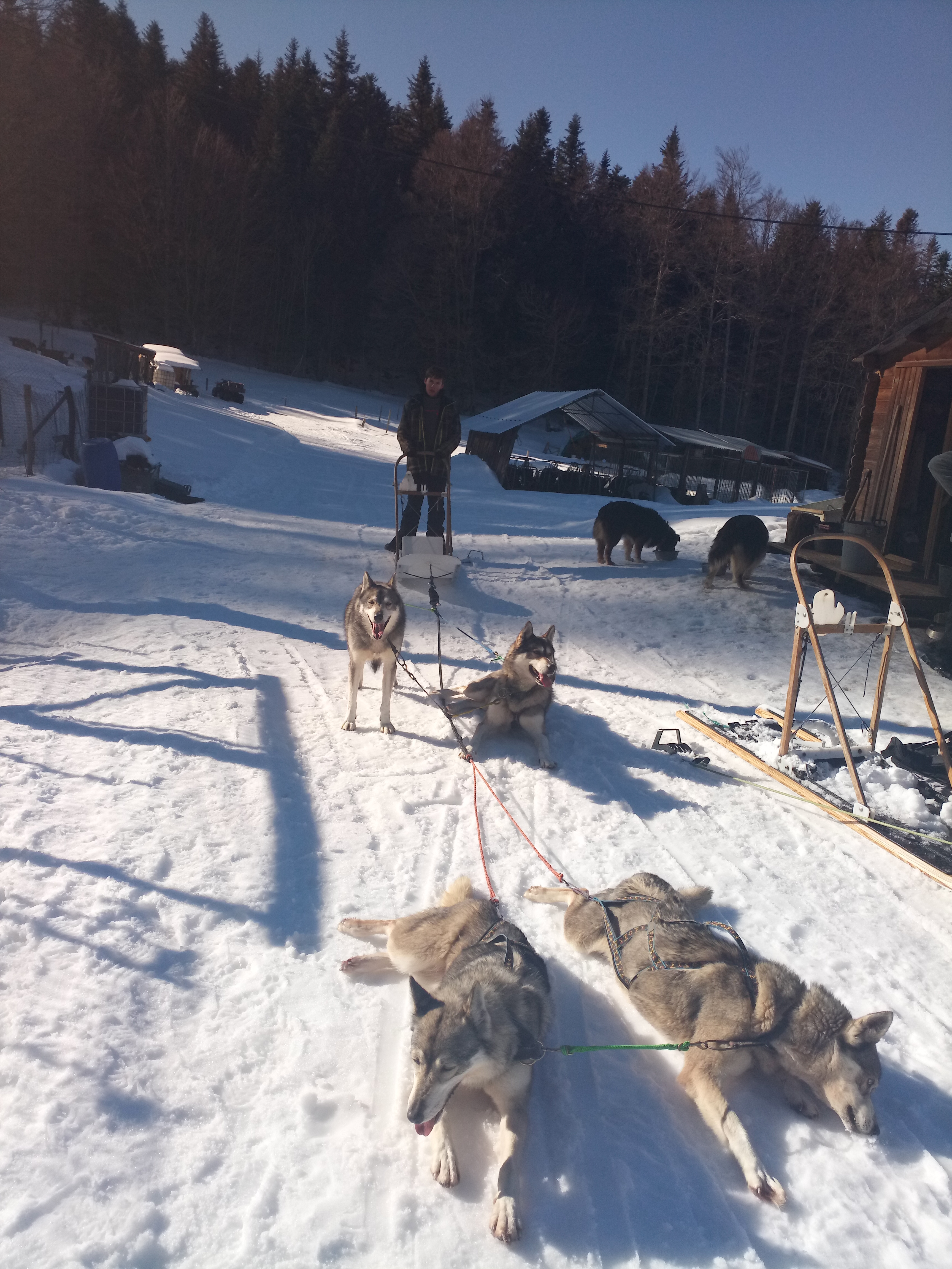 Photo n° 3 de l'avis de Nomade74. fait le 15/02/2019 à 14:49
