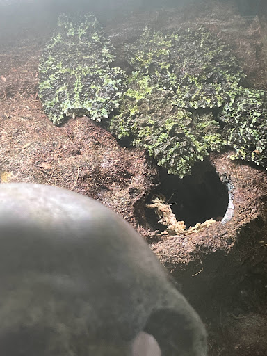 Pet Store «Birds & Beasts Pet Shop», reviews and photos, 35 Berkshire Dr # 18, Crystal Lake, IL 60014, USA