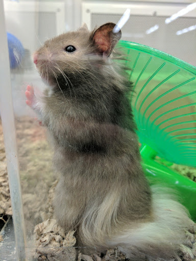 Pet Supply Store «Petco Animal Supplies», reviews and photos, 2250 Petrie Ln #518, Lanham, MD 20706, USA