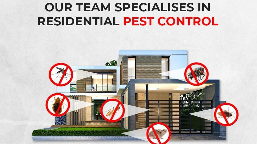 Outbug Pest Management