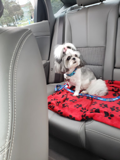 Pet Supply Store «PetSmart», reviews and photos, 1945 Pavilion Way, Lexington, KY 40509, USA