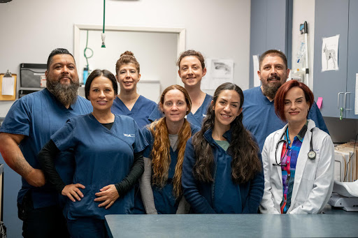 VCA TLC Pasadena Veterinary Specialty and Emergency image