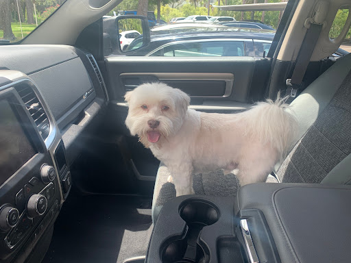 Used Car Dealer «Enterprise Car Sales», reviews and photos, 3909 W Hillsborough Ave, Tampa, FL 33614, USA