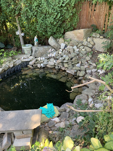 Pet Supply Store «Petco Animal Supplies», reviews and photos, 473 State Rd, North Dartmouth, MA 02747, USA