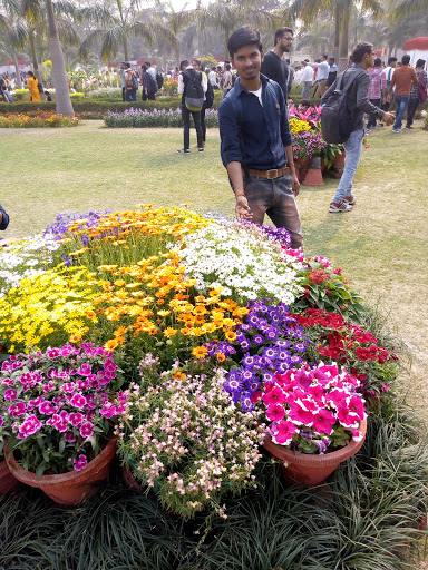 Buddha Garden