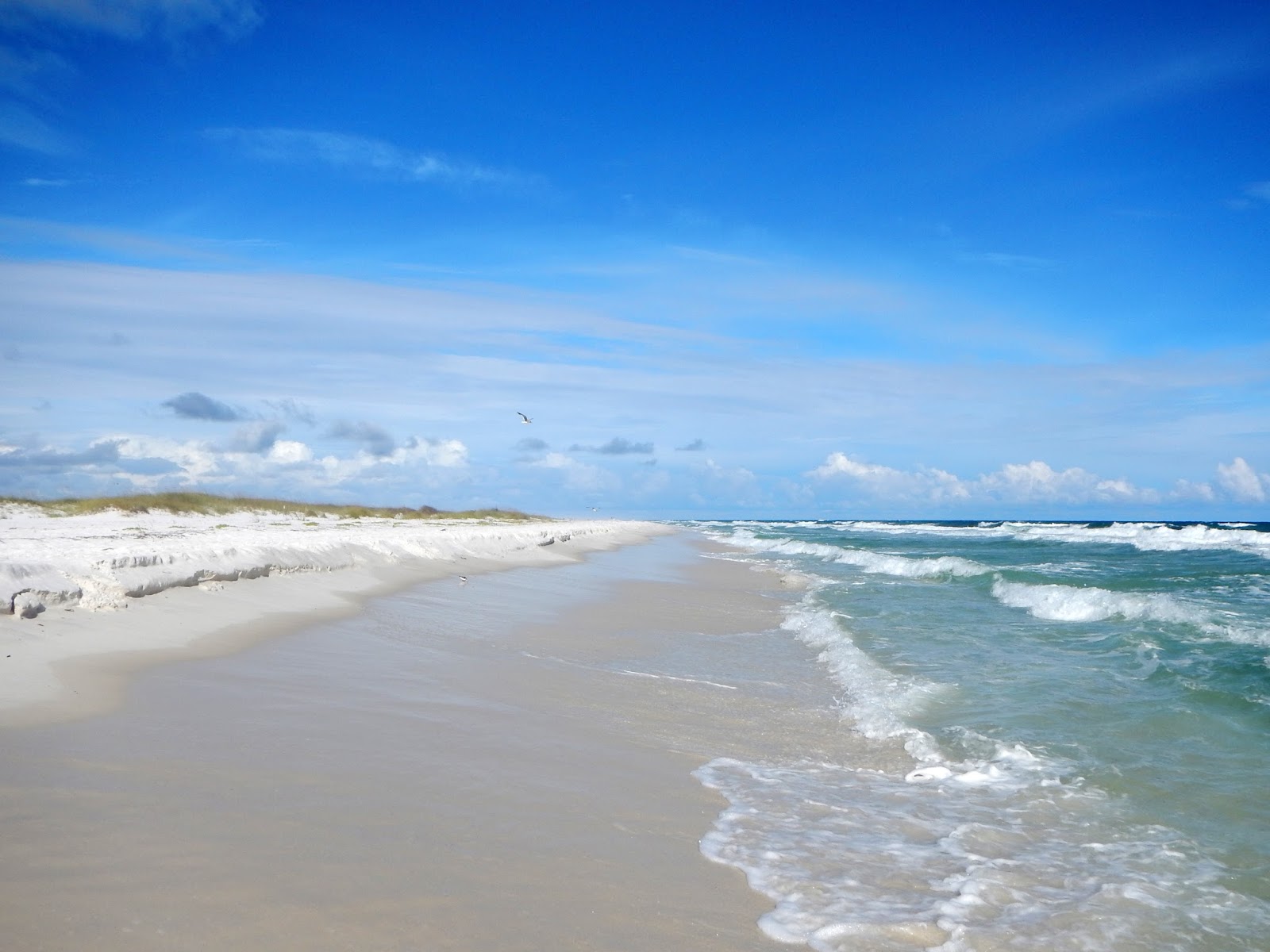 Photo de Langdon Beach situé dans une zone naturelle