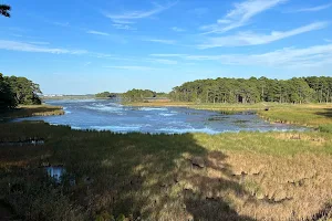 Assawoman Bay Lookout Point image