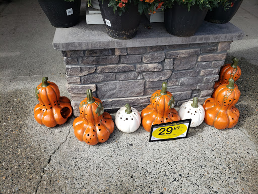 Shopping Mall «Harbour Pointe Shopping Center», reviews and photos, 11706 Mukilteo Speedway, Mukilteo, WA 98275, USA