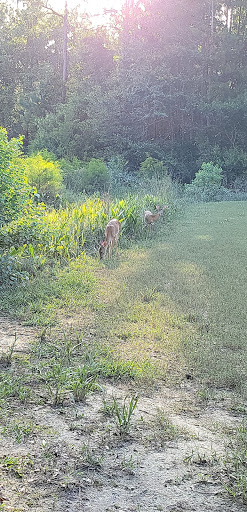 Golf Course «Grand Bear Golf Course», reviews and photos, 12040 Grand Way Blvd, Saucier, MS 39574, USA