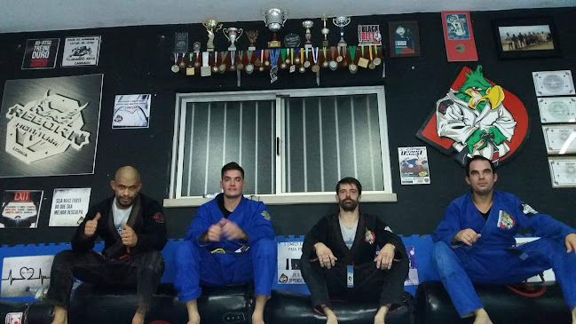 Team Papagaio escola Brazilian Jiu Jitsu e MMA