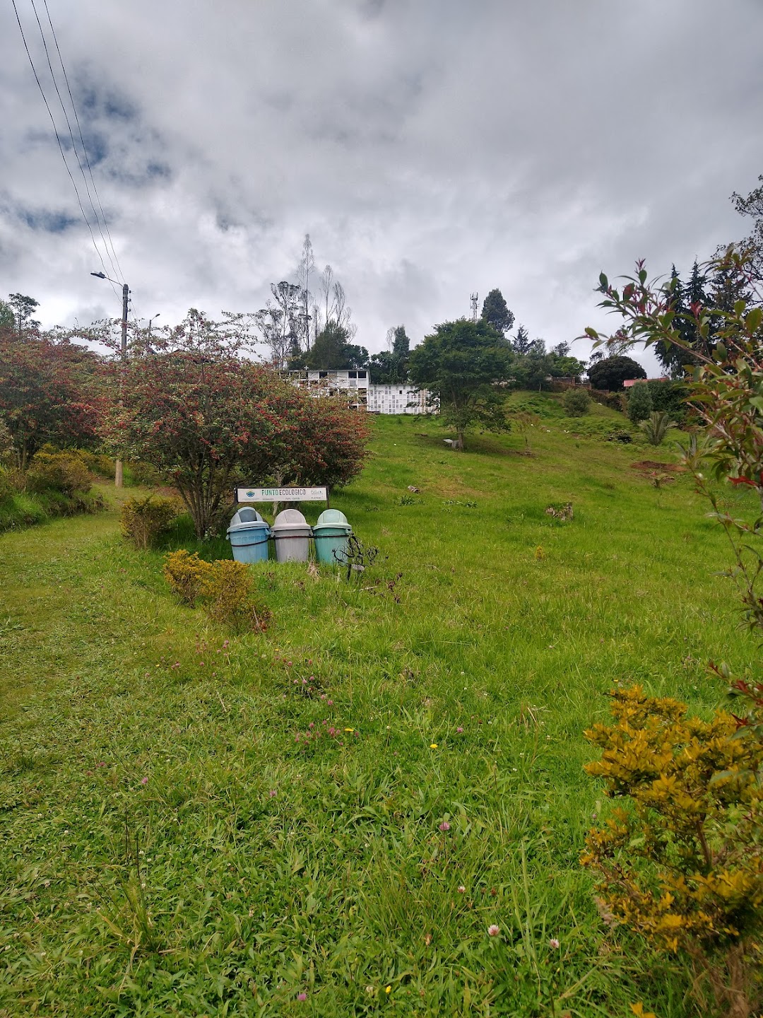 Cementerio Municipal Junín