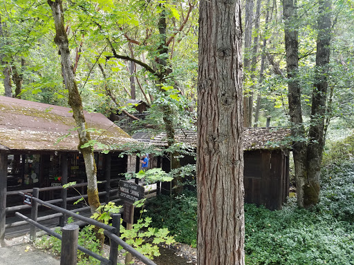 Tourist Attraction «Oregon Vortex», reviews and photos, 4303 Sardine Creek L Fork Rd, Gold Hill, OR 97525, USA