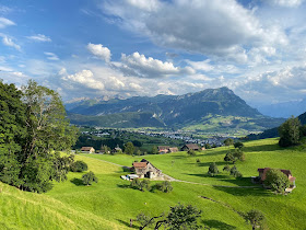 Tierheim Burg