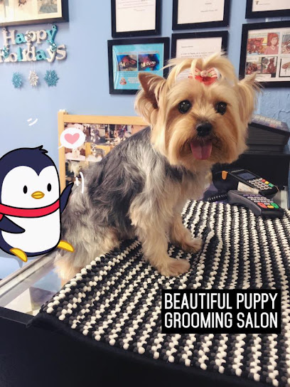 Dog Grooming Boutique