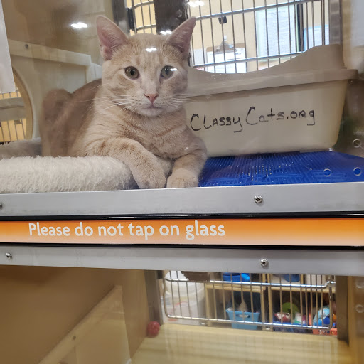 Pet Supply Store «PetSmart», reviews and photos, 2901 Texas Sage Trail, Fort Worth, TX 76177, USA