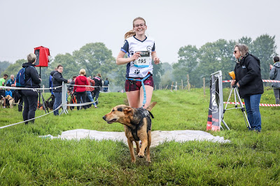 Association Sportive de Canicross de la Côte à Gravelines