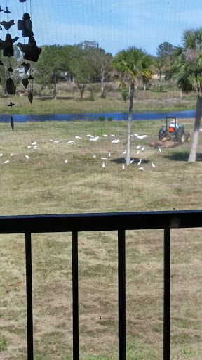 Thrift Store «SPCA Thrift Shop», reviews and photos, 4220 S Washington Ave, Titusville, FL 32780, USA