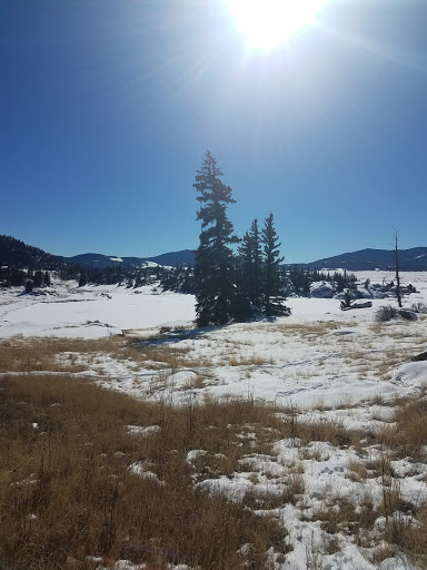 General Store «Eleven Mile General Store», reviews and photos, 5790 Co Rd 92, Lake George, CO 80827, USA