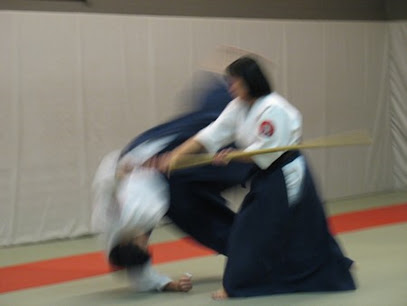 Aikido club